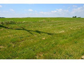 Property photo 88 - LAND AUCTION - 700+/- ACRES OFFERED IN 16 TRACTS IN ALLEN COUNTY, INDIANA